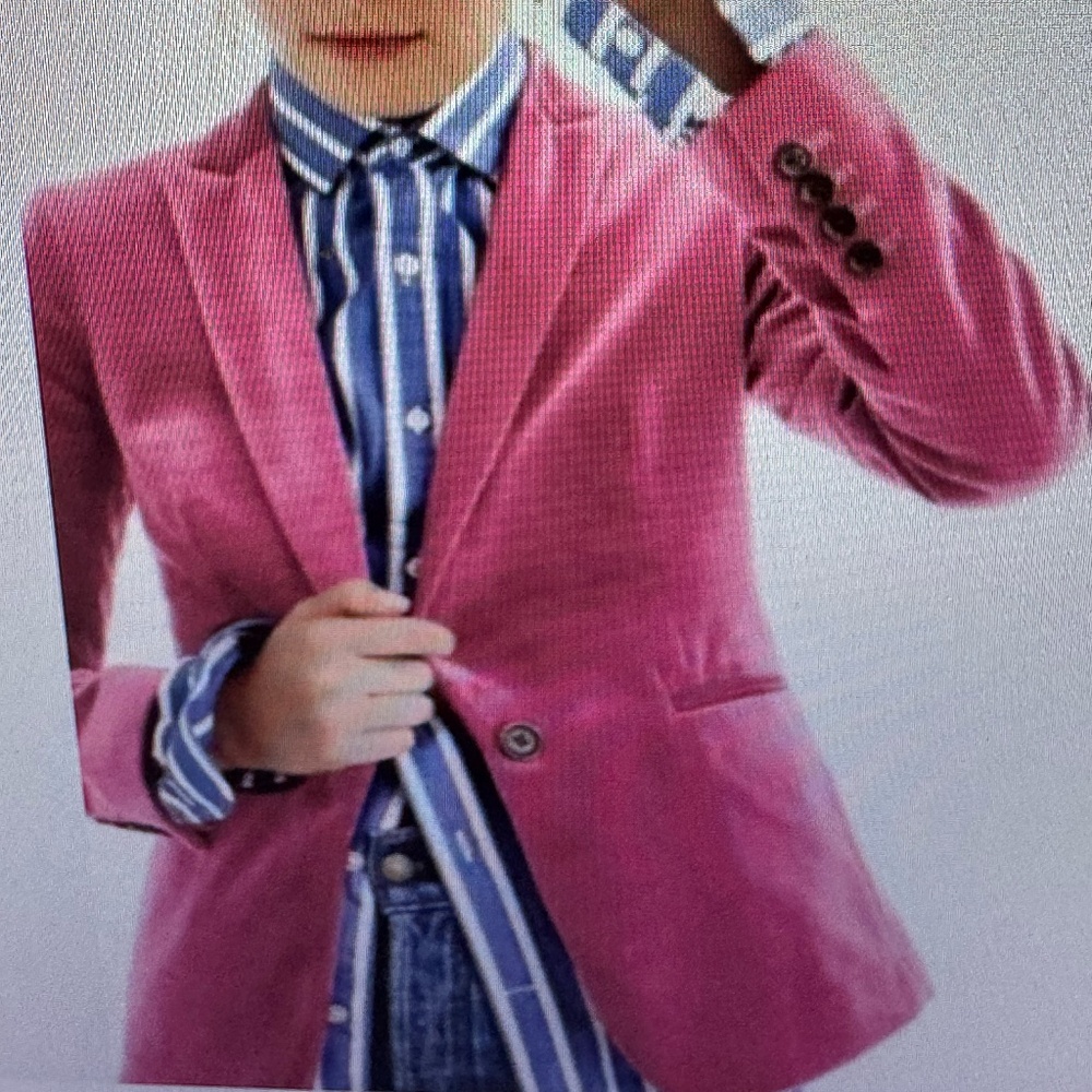 J. Crew Parke Pink (Dried Rose) Velvet Blazer - Size 8